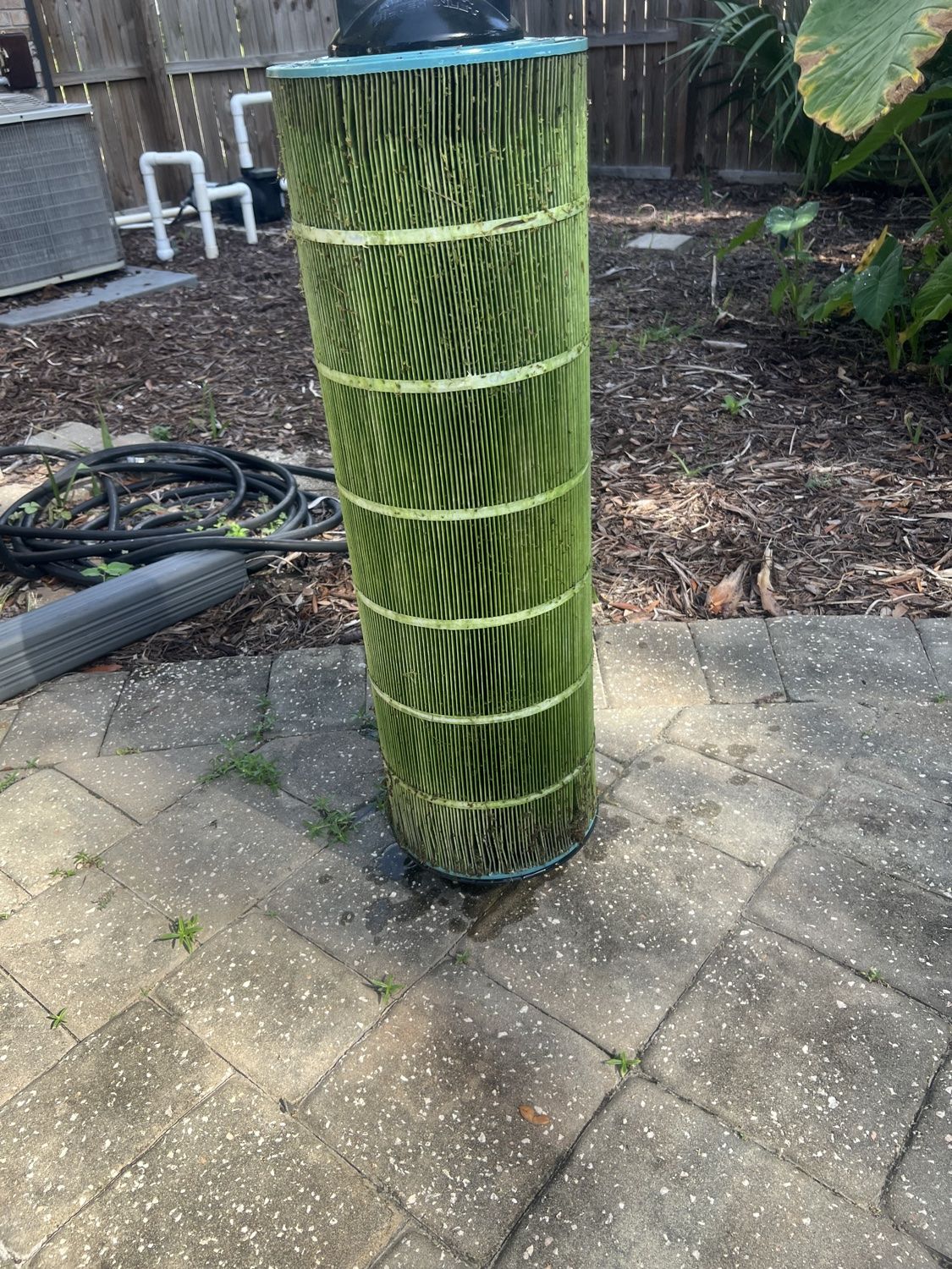 Pool filter cartridge covered in green algae buildup before cleaning