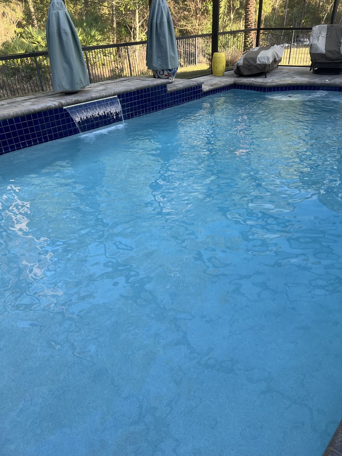 Finished backyard pool with clear blue water