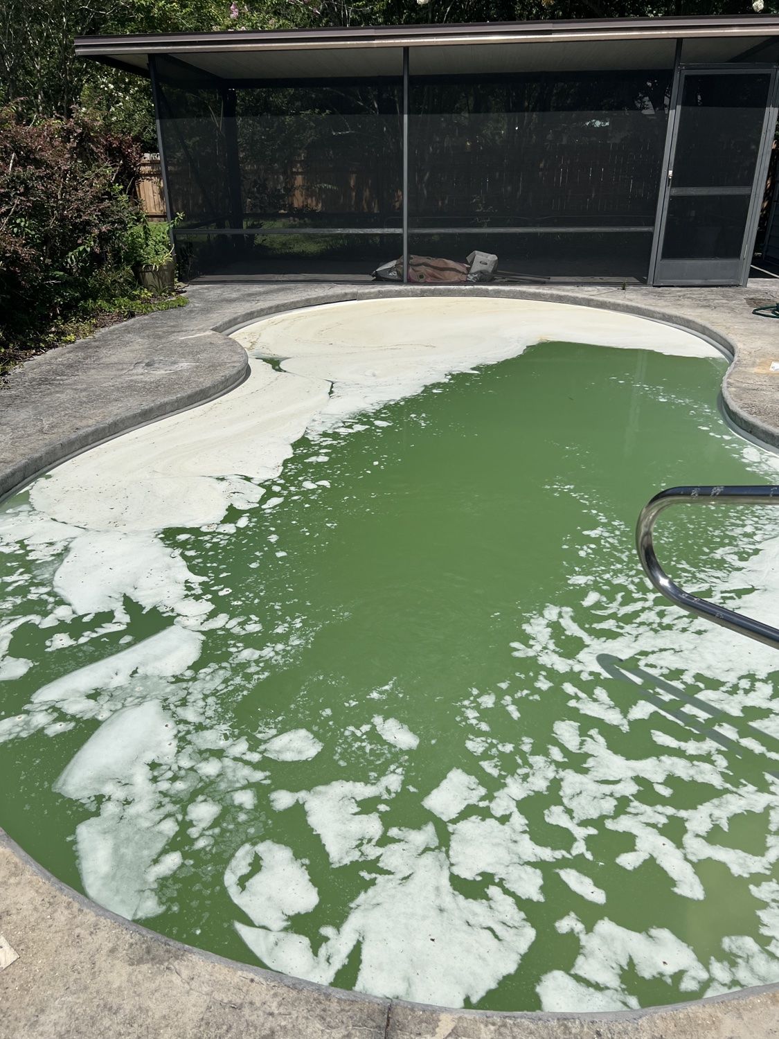 Green pool during algae treatment